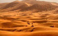 Звуки ветра в пустыне