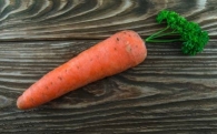 Звуки моркови