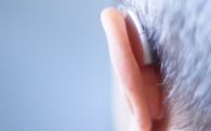 Звуки, которые слышат глухие