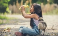 Детские песни на английском языке про животных